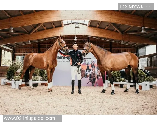 华天现身上海推行马术文明,2025马房办理应战大赛“润物细无声” 华天现身上海推行马术文明,2025马房办理应战大赛“润物细无声”