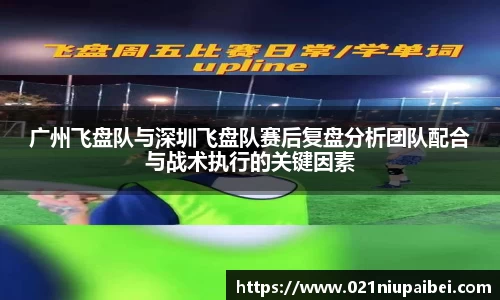 广州飞盘队与深圳飞盘队赛后复盘分析团队配合与战术执行的关键因素